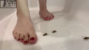 ZXNLFK – Zarin Crickets In A Tub