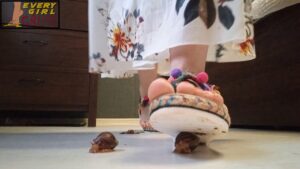 XCHJW – Svetlana Surplus Snails Disposal