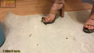 EODVDG – Nina Heels Crawdads