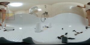 CLPGRC – Bath Surprise (360° view)