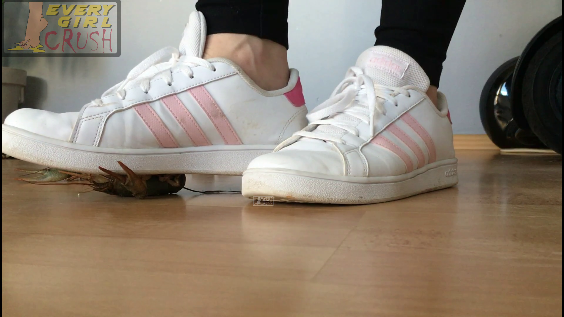 Yana Sneaker Deity (Floor Cam)