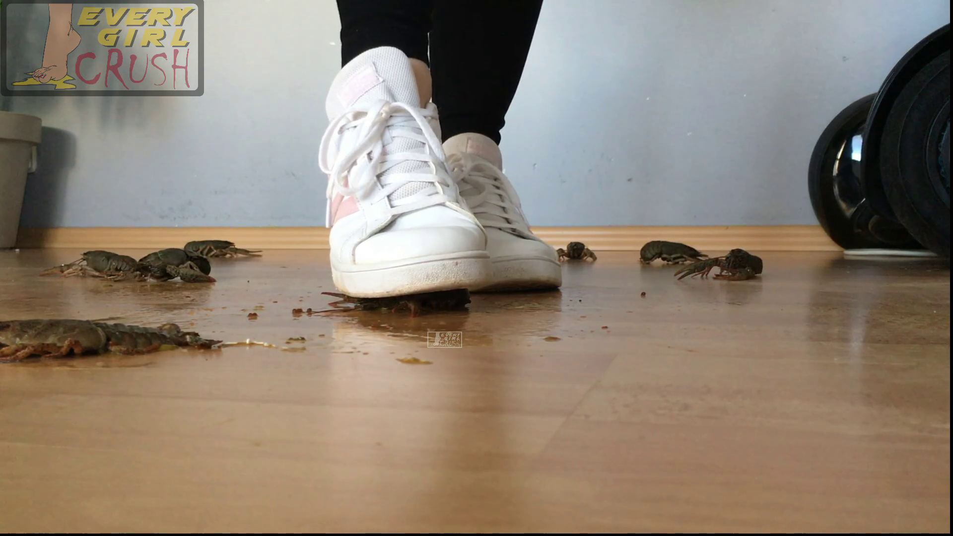 Yana Sneaker Deity (Floor Cam)