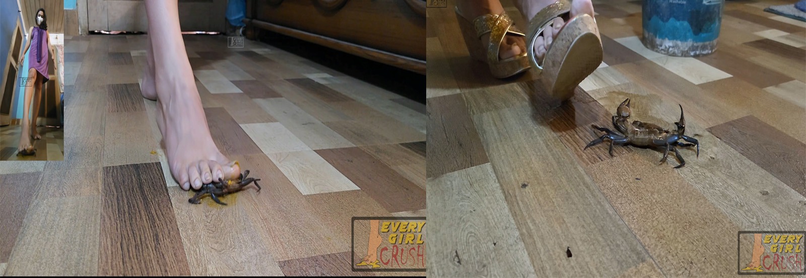 bug crush, crush fetish, soft crush, insect crush, crawdad crush, lobster crush, barefoot crush, high heels crush, sneakers crush, sandals crush, spider crush, sexy crush, russian crush, snail crush, goldfish crush, fish crush, buttcrush crawdad, everygirlcrush