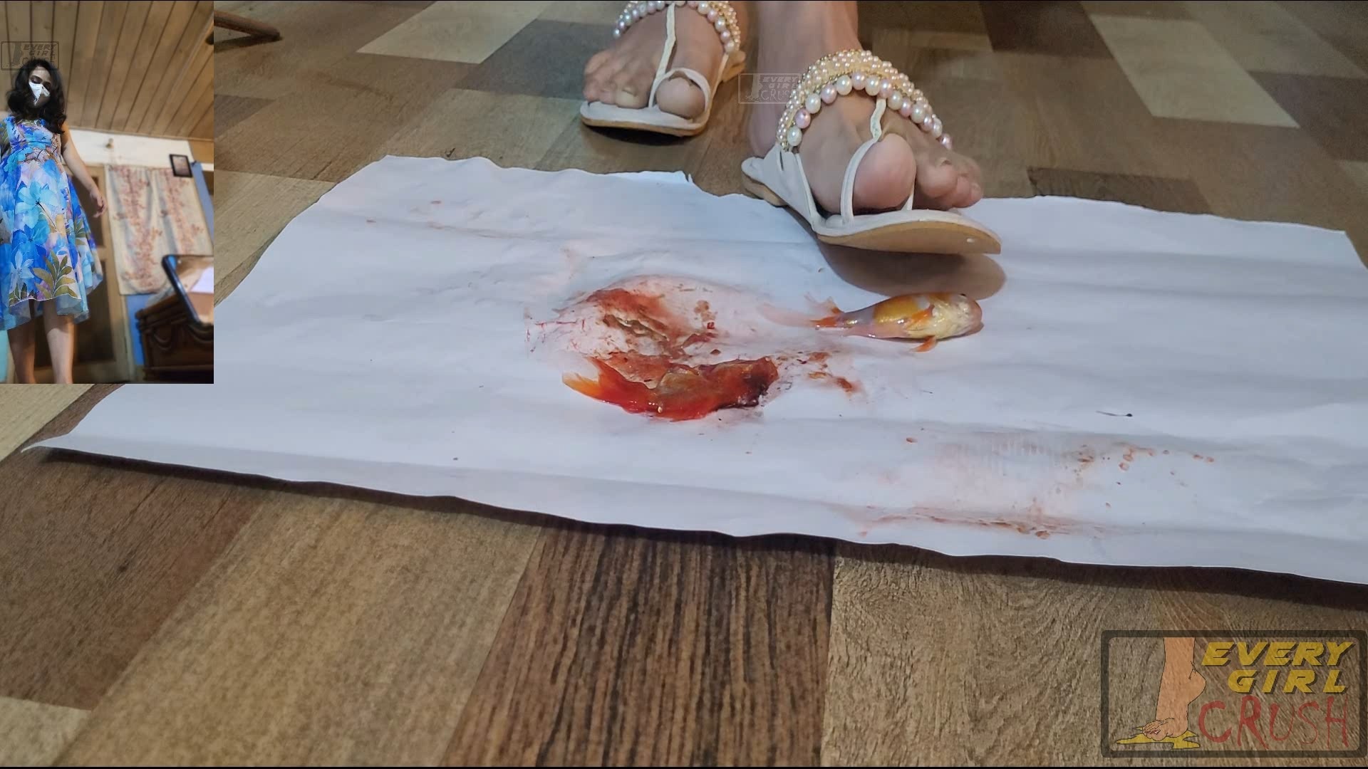 bug crush, crush fetish, soft crush, insect crush, crawdad crush, lobster crush, barefoot crush, high heels crush, sneakers crush, sandals crush, spider crush, sexy crush, russian crush, snail crush, goldfish crush, fish crush, buttcrush crawdad, everygirlcrush