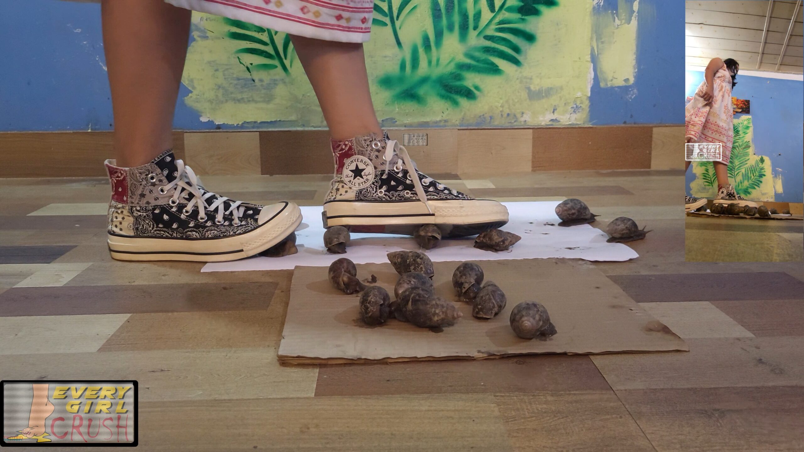 Alima Back From College