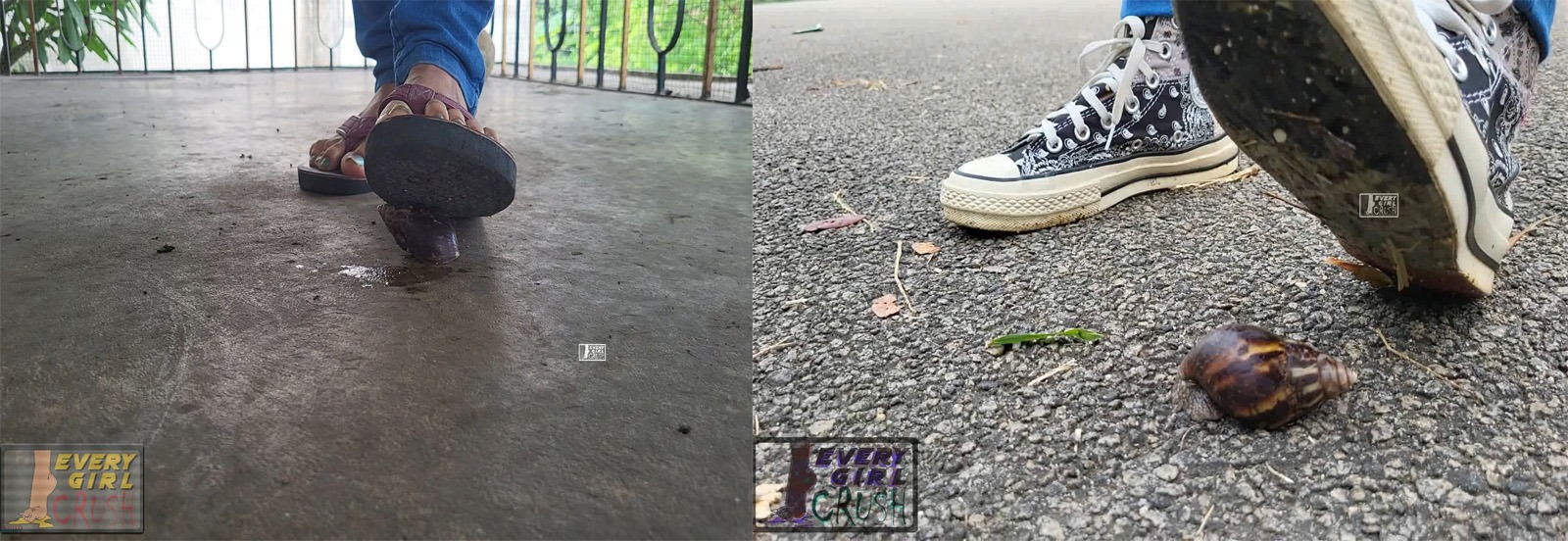 bug crush, crush fetish, soft crush, insect crush, crawdad crush, lobster crush, barefoot crush, high heels crush, sneakers crush, sandals crush, spider crush, sexy crush, russian crush, snail crush, goldfish crush, fish crush, buttcrush crawdad, everygirlcrush