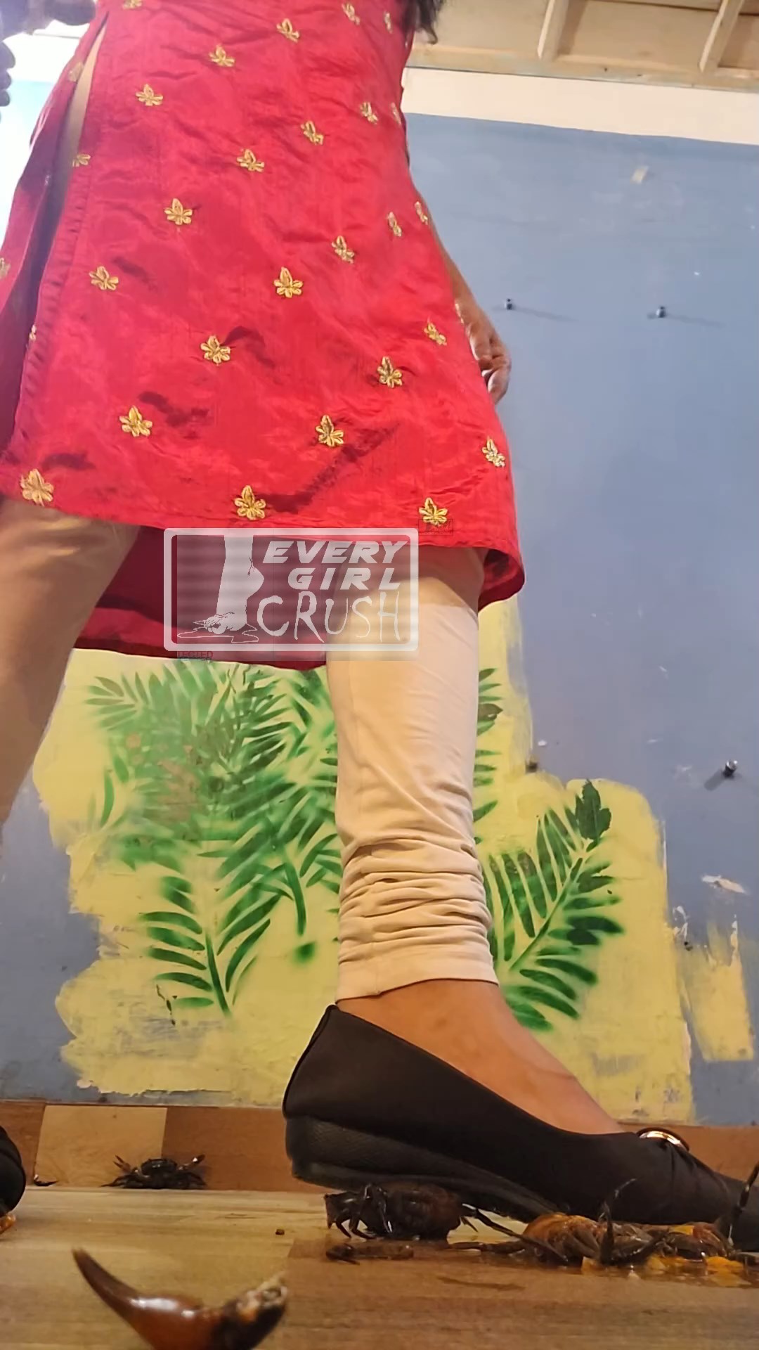 Alima Silent Crab Crush Vertical