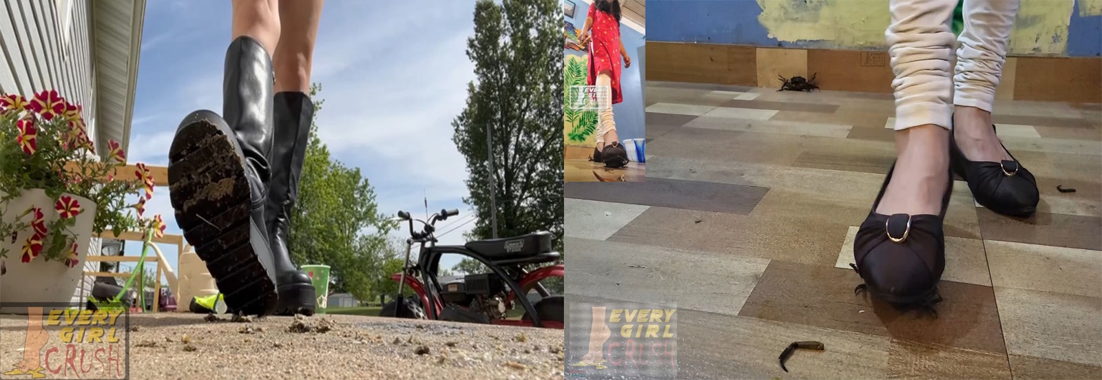 bug crush, crush fetish, soft crush, insect crush, crawdad crush, lobster crush, barefoot crush, high heels crush, sneakers crush, sandals crush, spider crush, sexy crush, russian crush, snail crush, goldfish crush, fish crush, buttcrush crawdad, everygirlcrush