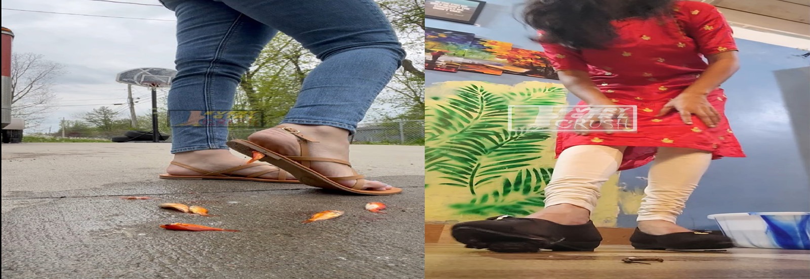 bug crush, crush fetish, soft crush, insect crush, crawdad crush, lobster crush, barefoot crush, high heels crush, sneakers crush, sandals crush, spider crush, sexy crush, russian crush, snail crush, goldfish crush, fish crush, buttcrush crawdad, everygirlcrush